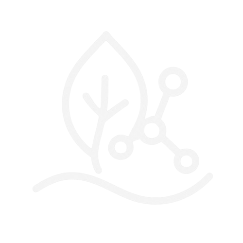 L-Theanine