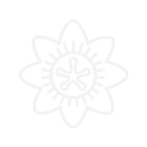 Passion Flower